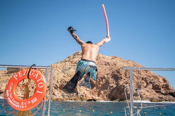 Los Cabos Snorkeling Adventure with Transportation - How Does It Compare in Value?