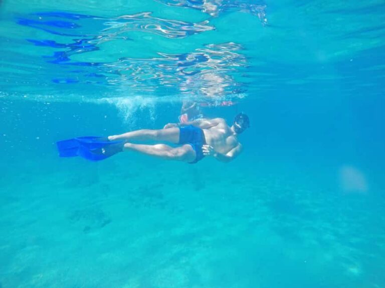 Los Cabos: Snorkeling Cruise with Lunch - What to Expect: A Closer Look