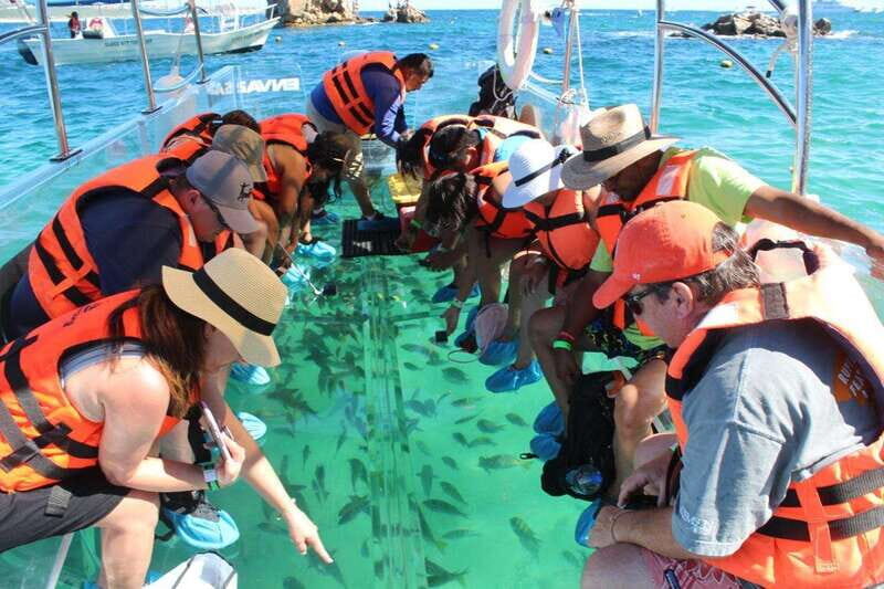 Los Cabos: Transparent Boat Tour with Optional City Tour - What to Expect During the Tour