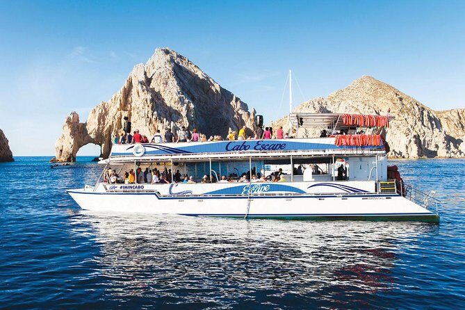 Los Cabos Whale Watching Cruise Including Breakfast - The Main Event: Whale Watching in the Sea of Cortez
