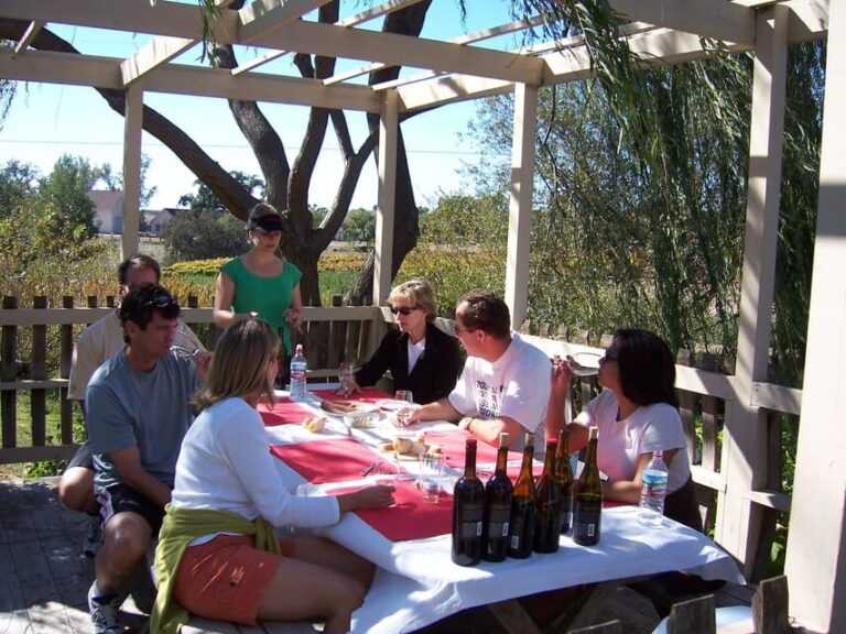 Los Olivos: E-Bike Tour + Vineyard Lunch w/Wine Tasting - The Practical Aspects: What Travelers Should Know