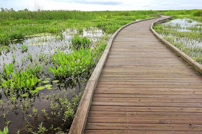 Louisiana Creole Nature Trail Self-Guided Audio Driving Tour - Practical Tips for Maximizing Your Experience