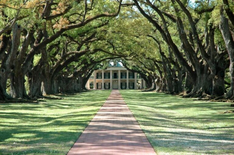 Louisiana: Laura, Oak Alley, or Whitney Plantation Tours - Who Should Consider This Tour?