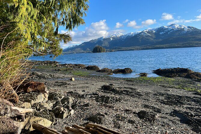 Low Tide Excursion & Totem Bight Park - Final Thoughts: Is It Worth It?
