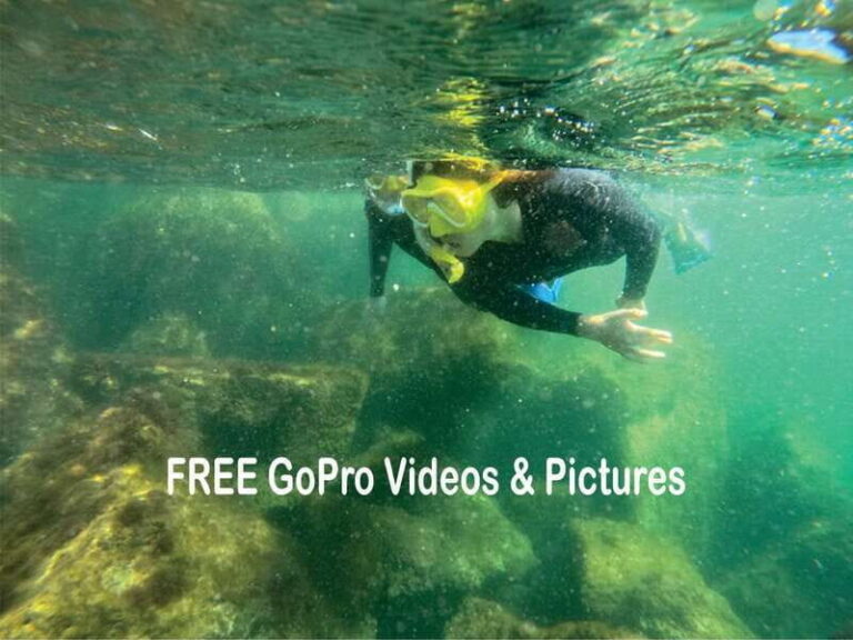 Lower Grand Lagoon: Panama City Beach Guided Snorkeling Tour - The Itinerary: What To Expect
