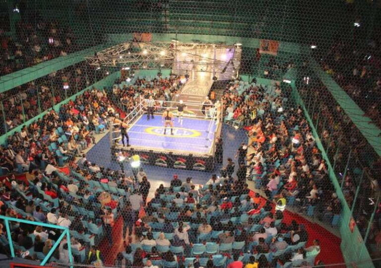 Lucha libre: Wrestling Experience in Puebla - Exploring Pueblas Lucha Libre Tour in Detail