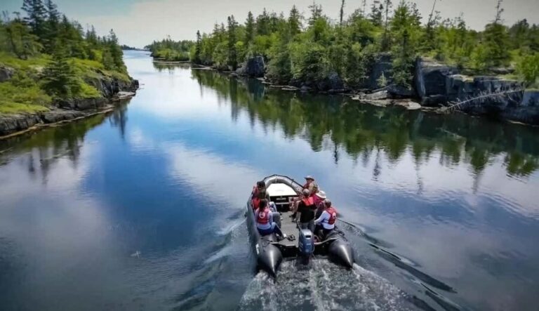 Lunenburg: Zodiac Wildlife Tour with Naturalist Guide - What to Expect on the Tour