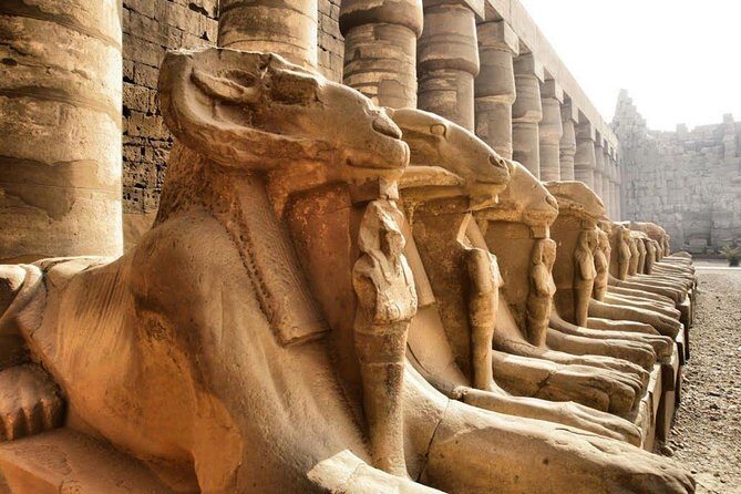 Luxor Day Tour visit East and West Nile Banks - What the Reviews Tell Us: Authenticity and Experience