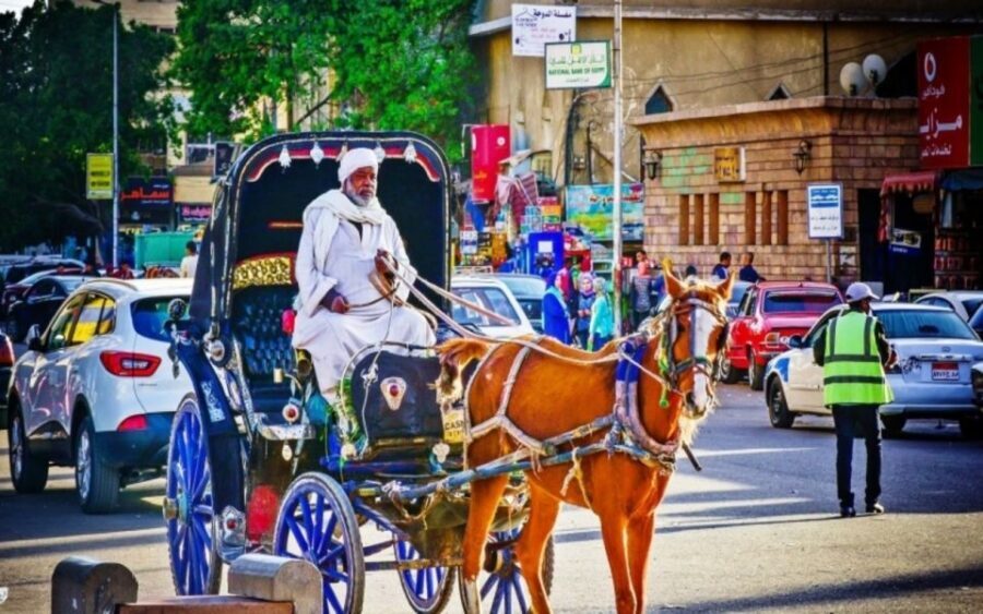 Luxor : Luxor City Tour By Horse Carriage Private Tour - The Itinerary: What You’ll Actually Do