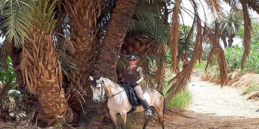 Luxor: Scenic Camel or Horse Ride - The Experience’s Highlights and Drawbacks
