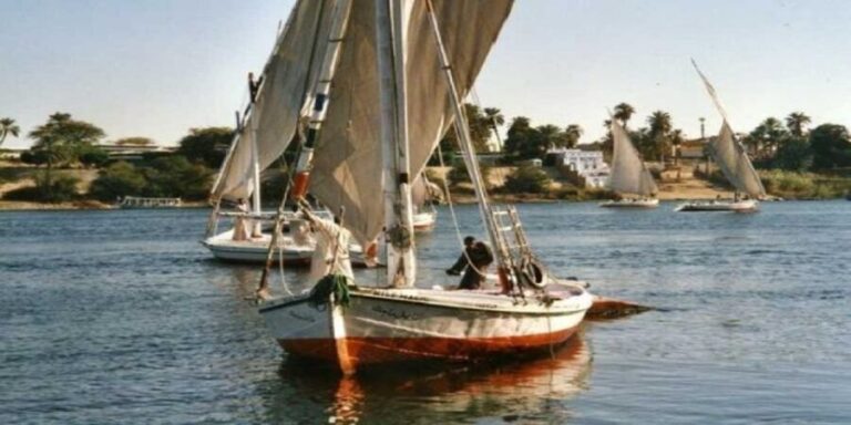 Luxor: Tour to Edfu Temple & Lunch & Felucca & Entrance Fees - Who Will Love This Tour?