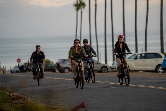 Luxurious Guided Electric Bike Tour to Torrey Pines - What Travelers Say