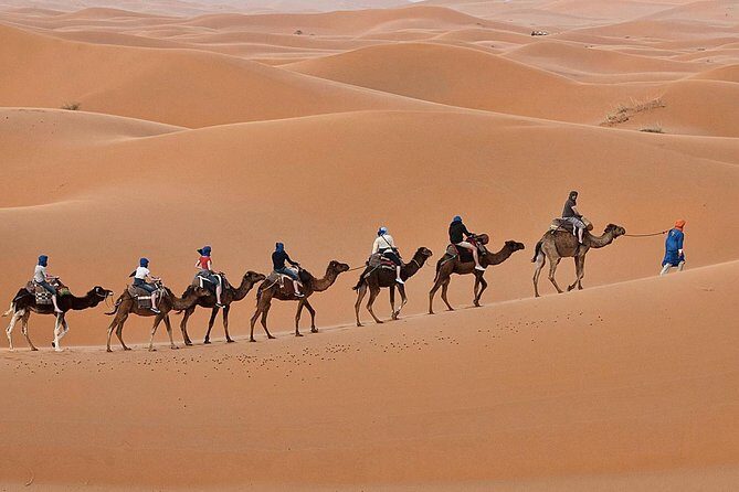 Luxury 2-Days Desert Trip from Fes to.:( fes or marakech) - The Sum Up: The Value of This Sahara Escape