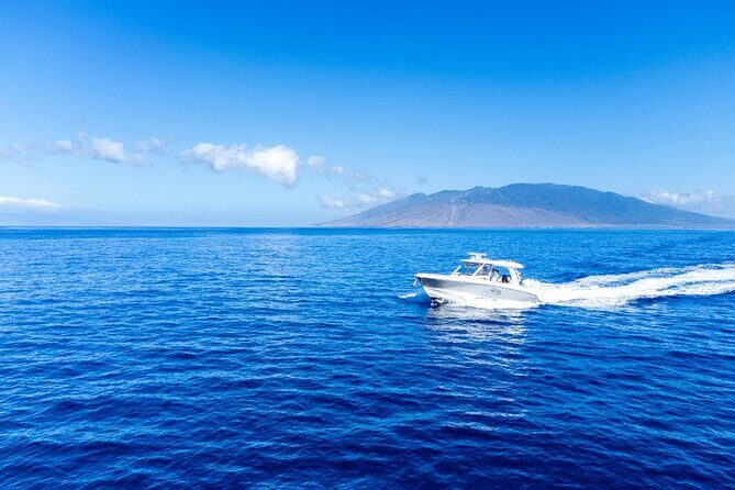 Luxury 6 passenger Boston Whaler Private Charter - Itinerary: What to Expect on Your Day