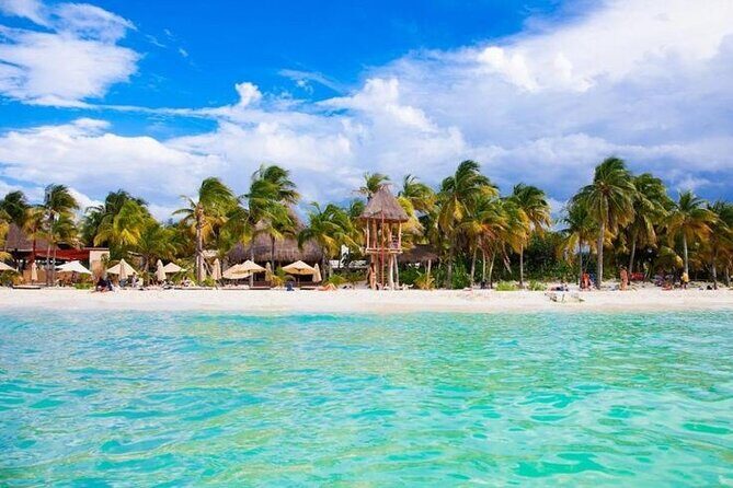 Luxury Catamaran Tour to Isla Mujeres with Transportation - The Price and Its Value