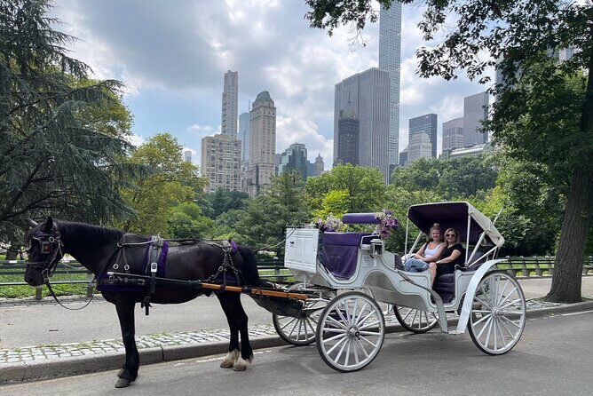 Luxury Horse and Carriage Tours in Central Park - A Detailed Look at the Itinerary