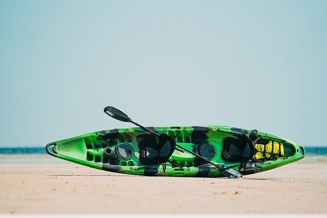 Luxury Kayak Tour To An Island Off Clearwater Beach! - (Tandem) - The Itinerary in Detail