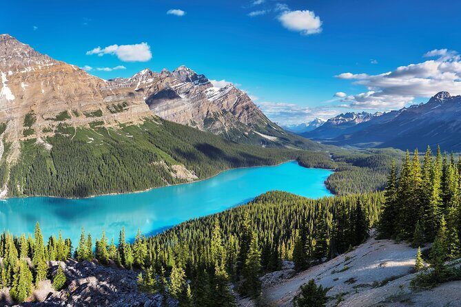 Luxury Private Tour of Lake Louise, Moraine, Peyto and Banff - Authentic Experiences and the Value of This Tour