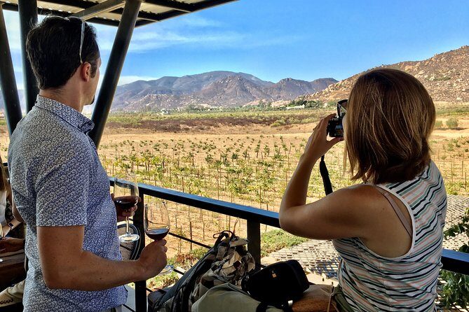 Luxury Private Wine Tasting Tour to Guadalupe Valley from San Diego - Why the Experience Excels