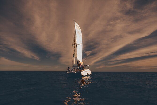 Luxury Sailing Whale Watch and The Arch (Dec 15 - Apr 15) - Performance and Practical Tips