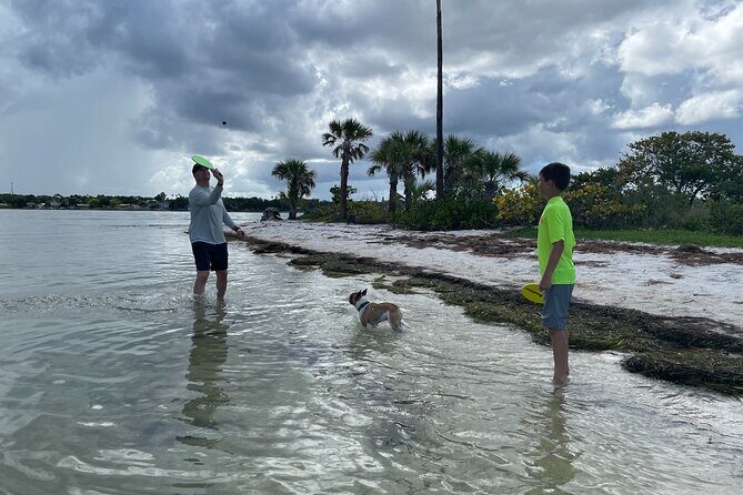 Luxury Single Kayak Tour To An Island Off Clearwater Beach! - A Close Look at the Experience