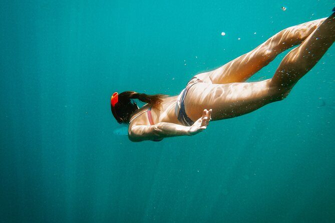 Luxury Snorkel Adventure in Cabo - Who Will Enjoy This Experience?
