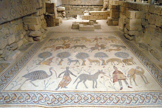 Madaba and Mount Nebo tour from Amman - Transportation and Logistics