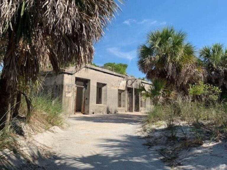 Madeira Beach: Egmont Key Snorkeling and Dolphin Cruise - What Makes This Tour Stand Out