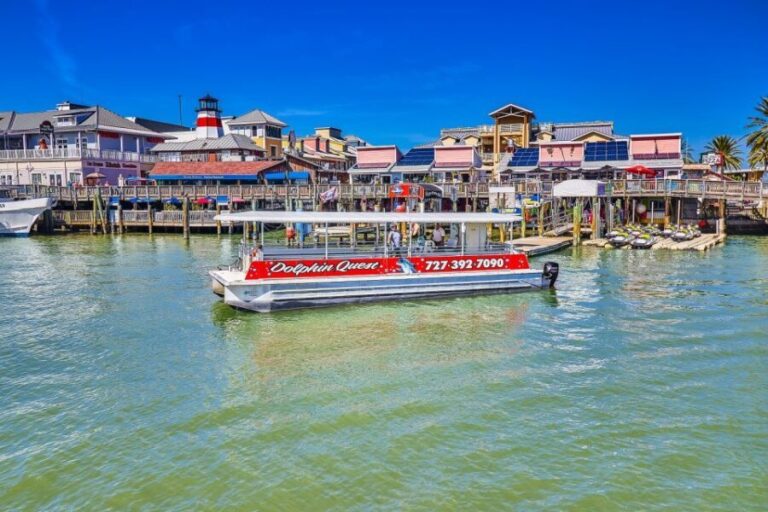 Madeira Beach: Guided Dolphin Watching Eco-Friendly Cruise - The Itinerary in Detail
