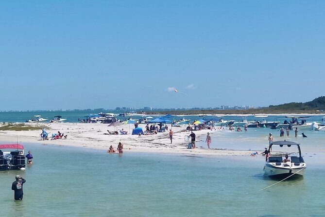 Madeira Beach - Shell Key - Dolphins - Half Day Private Boat Tour - Why Travelers Keep Coming Back