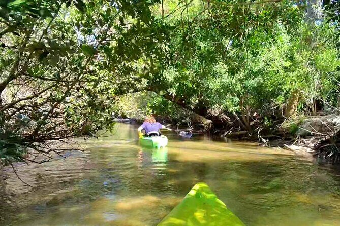 Magic of Nature Guided Kayak Eco Tour - What’s Included and What to Bring