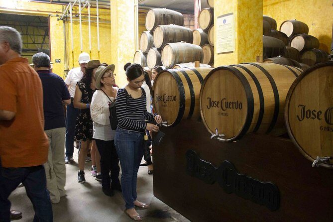 Magic Town Tequila and Agave Fields - Transportation, Duration, and Group Size