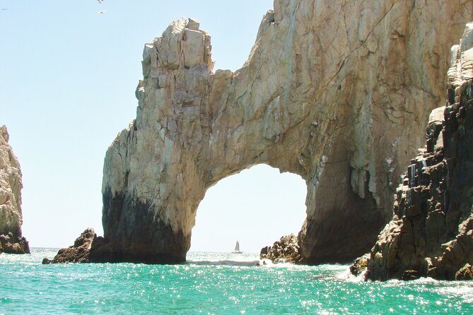 Magical Baja Adventure Todos Santos, Cabo, & San José Tour - Transportation & Logistics
