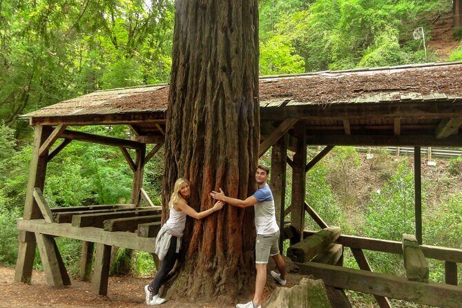 Magical Muir Woods Car Tour (Private & All-Inclusive) - The Full Experience: What to Expect from the Magical Muir Woods Car Tour