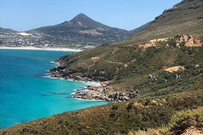 Magnificent Cape Peninsula Private Tour - Who Will Love This Tour?
