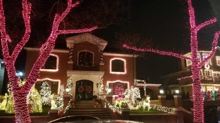 Magnificent Christmas Lights Tour of Dyker Heights Brooklyn - Why This Tour Offers Great Value