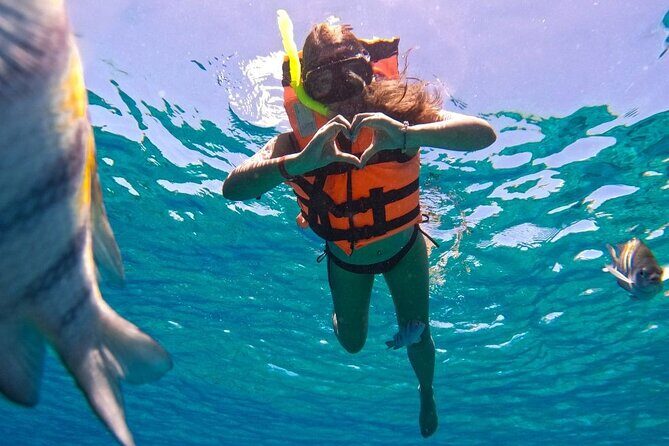 Magnificent Exploration to El Cielo Palancar and Columbia Reefs - The Guide and Group Size