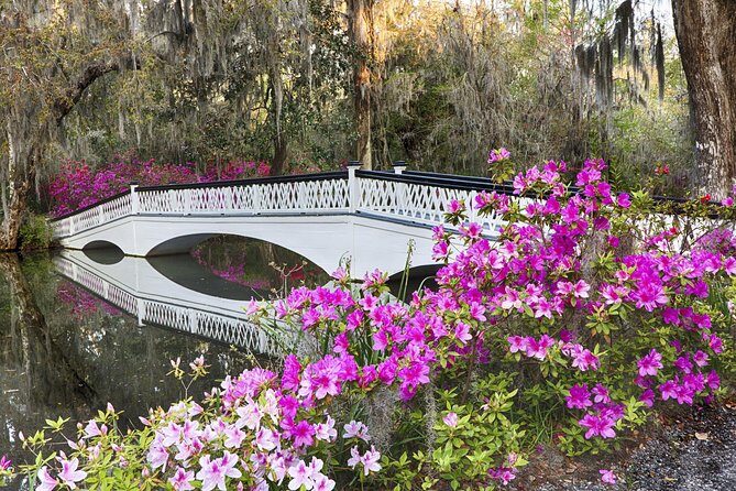 Magnolia Plantation Admission & Tour with Transportation from Charleston - Authentic Traveler Perspectives