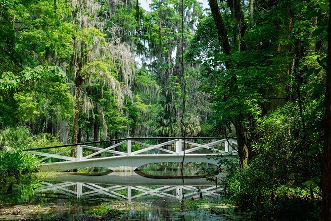 Magnolia Plantation Tour with transportation PLUS City Bus Tour - Summary