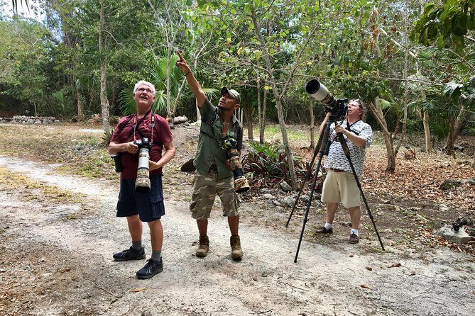 Mahahual and Costa Maya Birdwatching - Understanding the Value