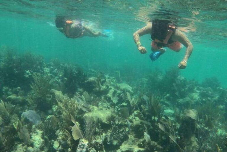 Mahahual: Costa Maya Snorkeling Adventure by Boat - Final Thoughts: Who Will Love This Experience?