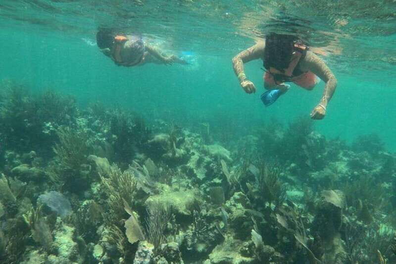 Mahahual: Costa Maya Snorkeling Adventure by Boat - Final Thoughts: Who Will Love This Experience?