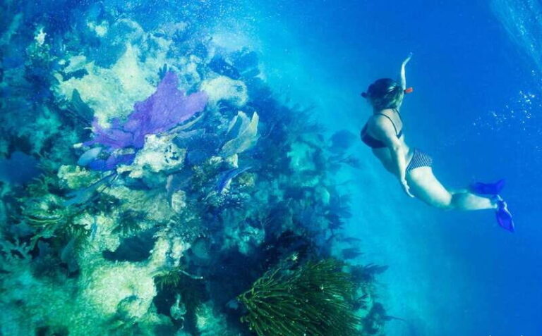 Mahahual: Snorkel Tour in Reef Lagoon - Final Thoughts
