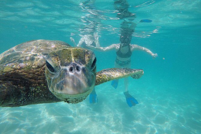 Mahina Hawaii Full Day Adventure - Final Thoughts: Is It Worth It?