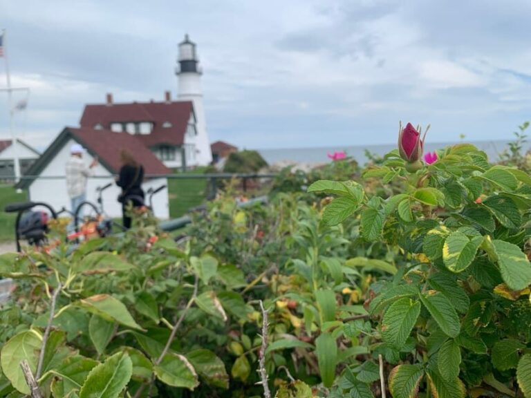 Maine Coast: Bicycle Rentals - The Value of a Bicycle Tour Along the Maine Coast