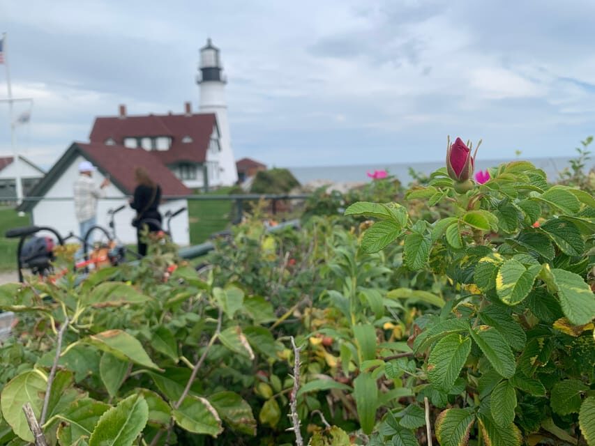 Maine Coast: Bicycle Rentals - The Value of a Bicycle Tour Along the Maine Coast