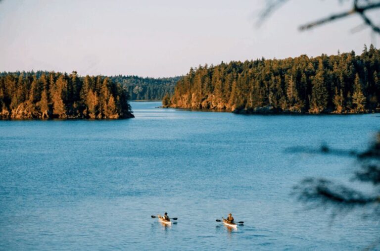 Maine: Half-Day Single Kayak Rental - The Sum Up: Is This Kayak Rental Right for You?