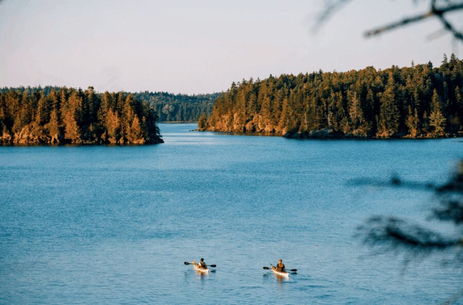 Maine: Half-Day Single Kayak Rental - The Sum Up: Is This Kayak Rental Right for You?