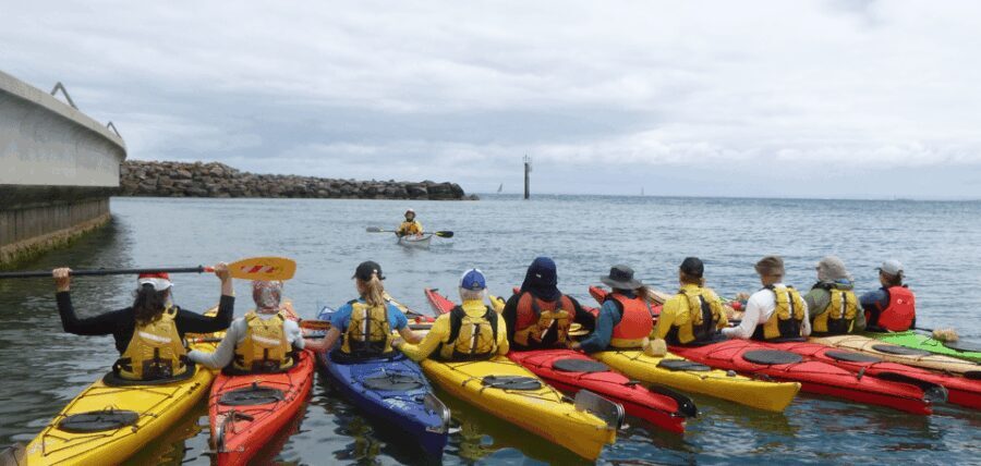 Maine: Penobscot River Guided Kayaking Tour