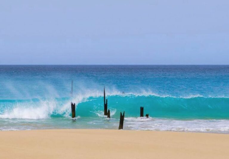 Maio Island: Full-day Guided Tour with Breakfast - Who Would Love This Tour?